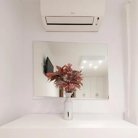 شقة North
